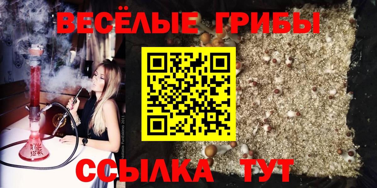 Псилоцибиновые грибы мицелий  Вход с VPN  даркнет сайт  Санкт-Петербург 